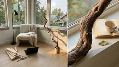 The Daoist “useless tree” parable and why it’s a cure for hustle culture